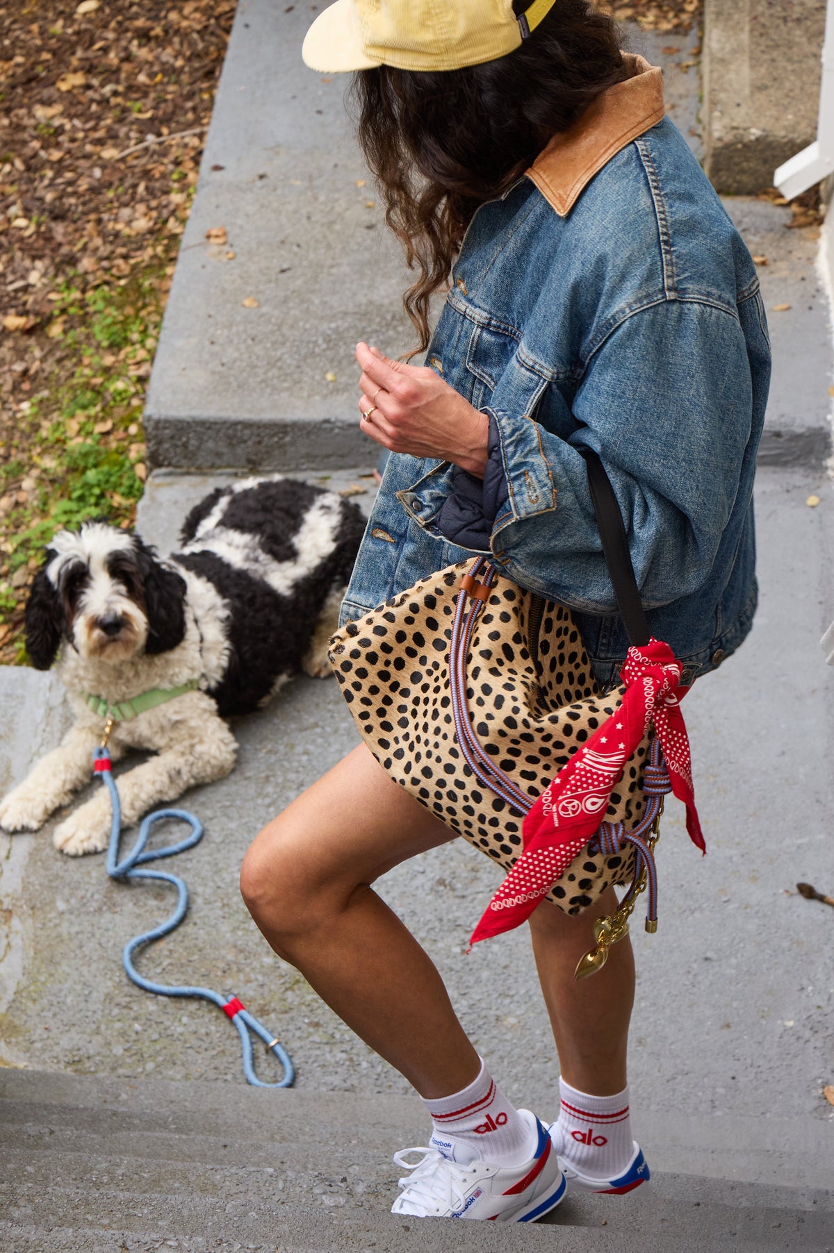 Daily Bag - Leopard