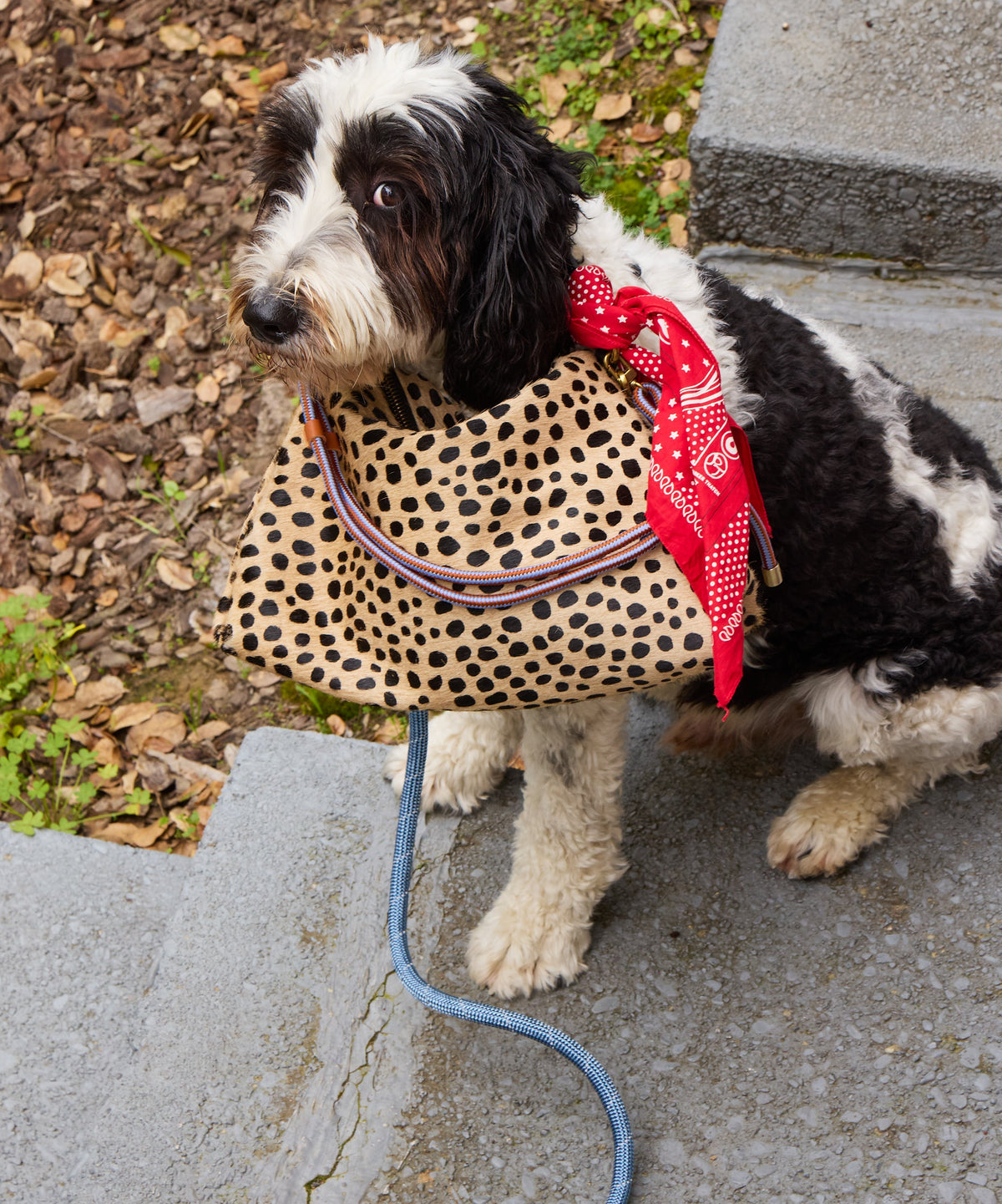 Daily Bag - Leopard
